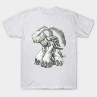 The Malaysian Rabbit-Eared Tortoise T-Shirt